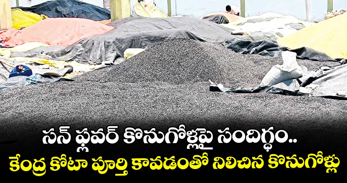 సన్‌‌ ఫ్లవర్‌‌  కొనుగోళ్లపై సందిగ్ధం.. కేంద్ర కోటా పూర్తి కావడంతో నిలిచిన కొనుగోళ్లు