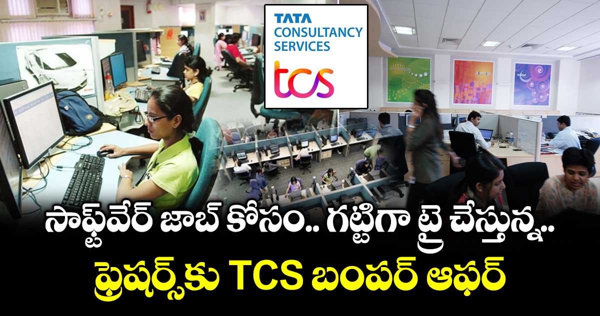 సాఫ్ట్⁭వేర్ జాబ్ కోసం గట్టిగా ట్రై చేస్తున్న ఫ్రెషర్స్⁫కు TCS బంపర్ ఆఫర్