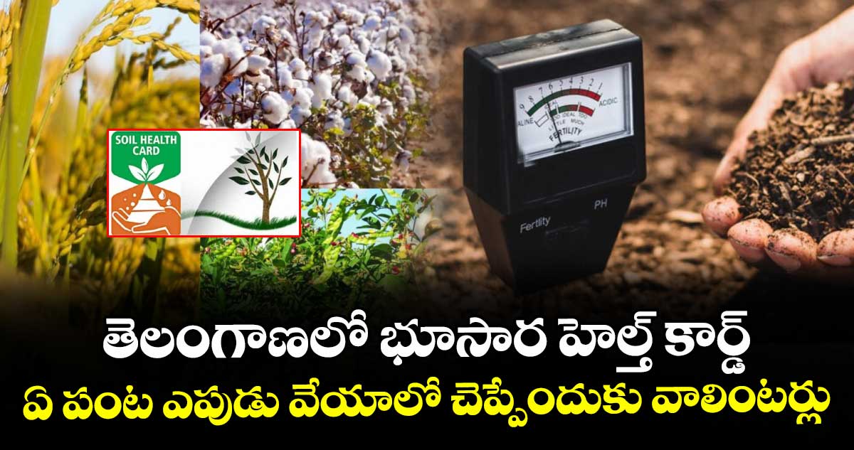 తెలంగాణలో భూసార హెల్త్ కార్డ్.. ఏ పంట ఎపుడు వేయాలో చెప్పేందుకు వాలింటర్లు 