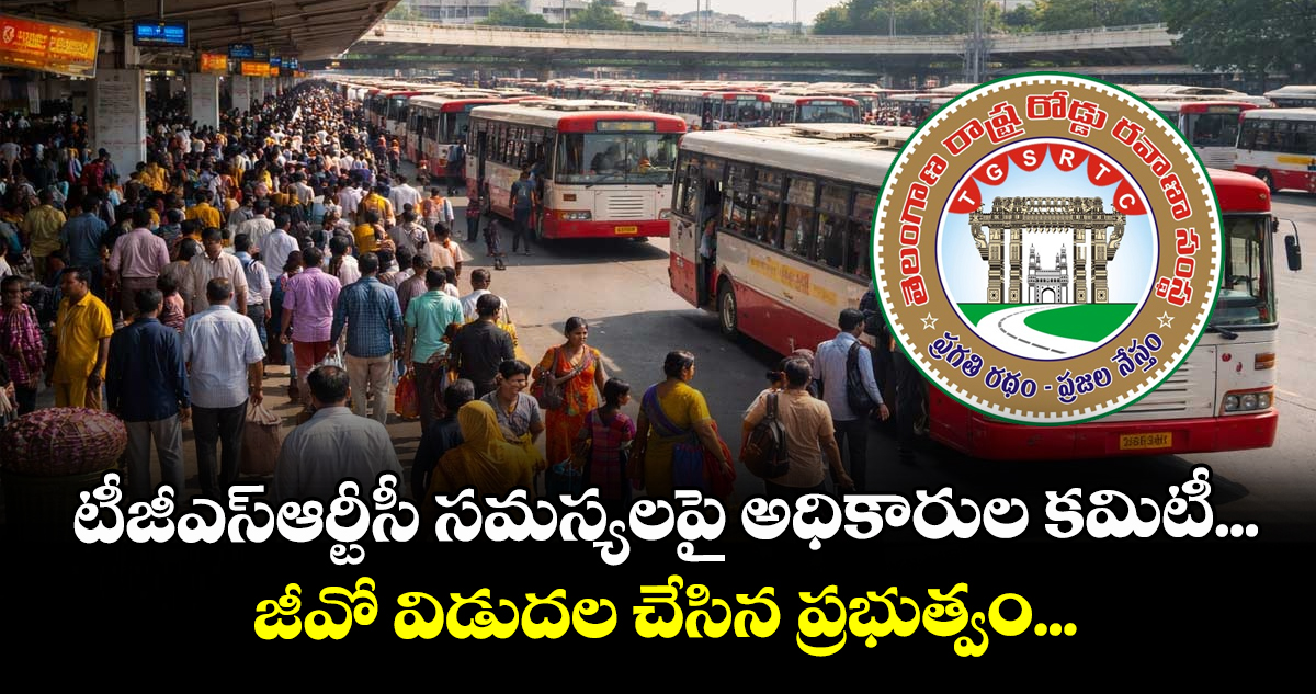 టీజీఎస్ఆర్టీసీ సమస్యలపై అధికారుల కమిటీ... జీవో విడుదల చేసిన ప్రభుత్వం...