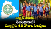 సమ్మర్ హాలిడేస్.. తెలంగాణలో స్కూళ్లకు 48 రోజుల సెలవులు 