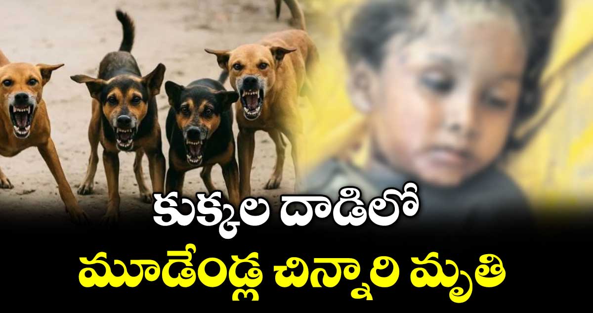 కుక్కల దాడిలో మూడేండ్ల చిన్నారి మృతి