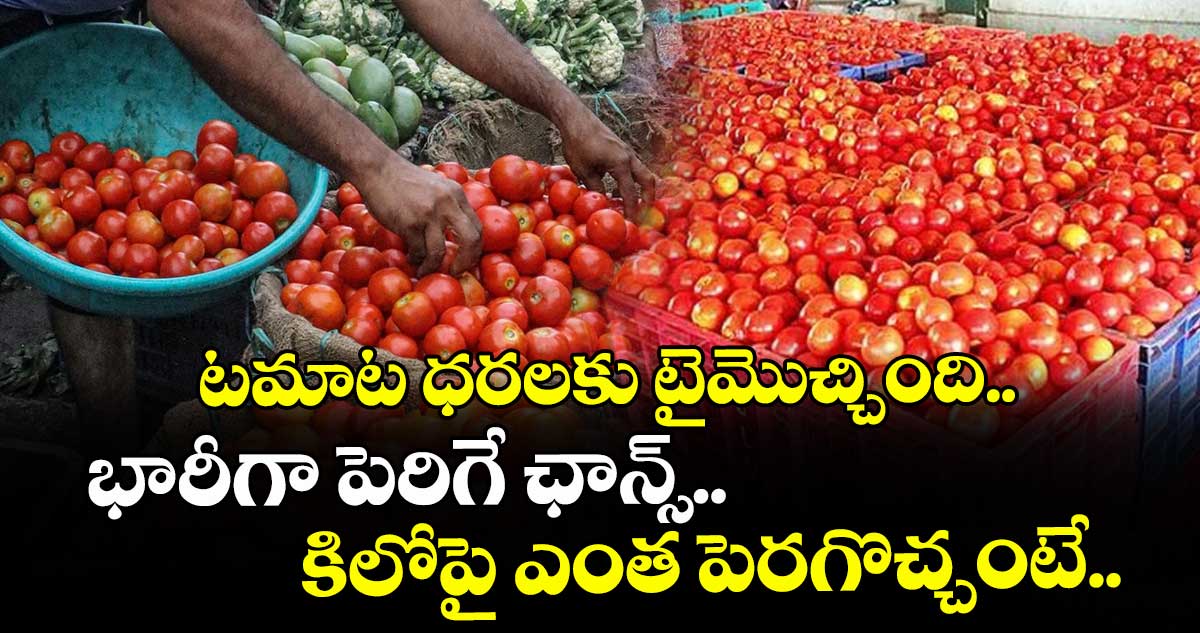 టమాట ధరలకు టైమొచ్చింది.. భారీగా పెరిగే ఛాన్స్.. కిలోపై ఎంత పెరగొచ్చంటే..