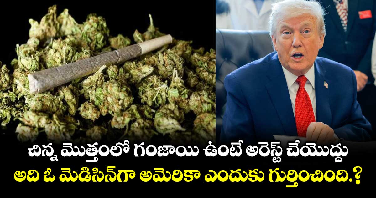 చిన్న మొత్తంలో గంజాయి ఉంటే అరెస్ట్ చేయొద్దు..అది ఓ మెడిసిన్ గా అమెరికా ఎందుకు గుర్తించింది.?