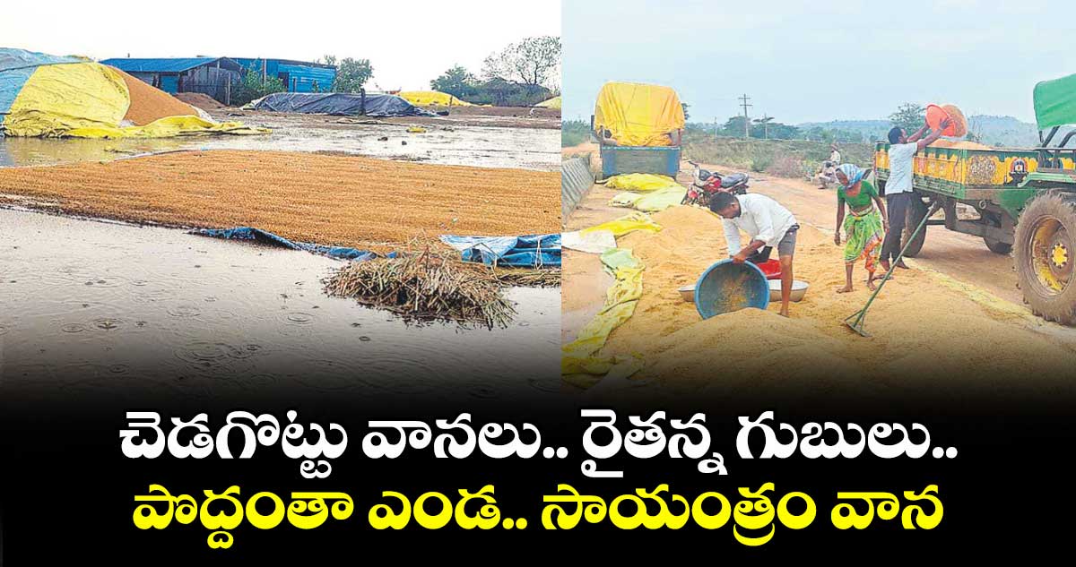 చెడగొట్టు వానలు..  రైతన్న గుబులు..పొద్దంతా ఎండ.. సాయంత్రం వాన