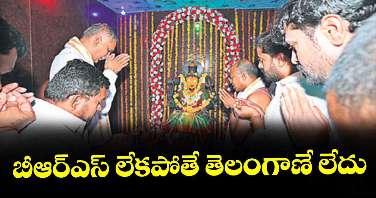 బీఆర్‌‌‌‌ఎస్‌‌‌‌ లేకపోతే తెలంగాణే లేదు మాజీమంత్రి హరీశ్‌‌‌‌రావు