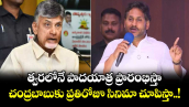 త్వరలోనే పాదయాత్ర ప్రారంభిస్తా... చంద్రబాబుకు ప్రతిరోజూ సినిమా చూపిస్తా..! : వైఎస్ జగన్ 