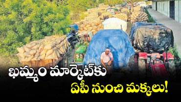 ఖమ్మం మార్కెట్ కు ఏపీ నుంచి మక్కలు!