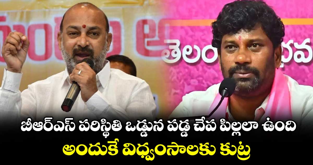 బీఆర్ఎస్ పరిస్థితి ఒడ్డున పడ్డ చేప పిల్లలా ఉంది.. అందుకే  విధ్వంసాలకు కుట్ర: బండి సంజయ్