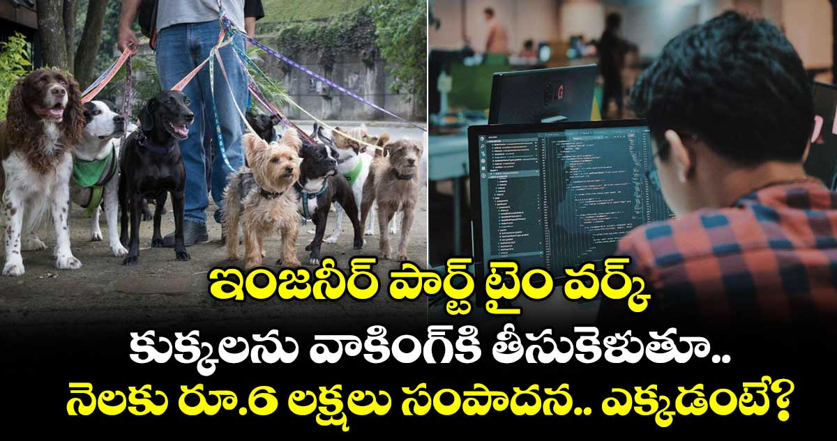 ఇంజనీర్ పార్ట్ టైం వర్క్.. కుక్కలను వాకింగ్‌కి తీసుకెళుతూ నెలకు రూ.6 లక్షలు సంపాదన.. ఎక్కడంటే?