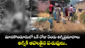 మానకొండూరులో ఒకే రోజు రెండు అగ్నిప్రమాదాలు... అగ్నికి ఆహుతైన పశువులు..