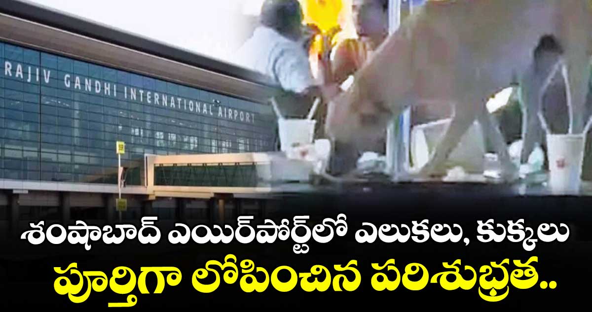 శంషాబాద్ ఎయిర్పోర్ట్ లో ఎలుకలు, కుక్కలు.. పూర్తిగా లోపించిన పరిశుభ్రత..