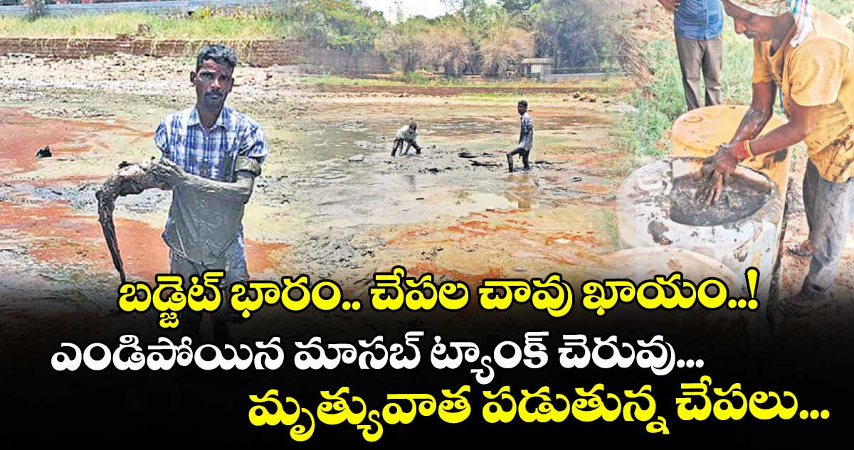 బడ్జెట్ భారం.. చేపల చావు ఖాయం..! ఎండిపోయిన మాసబ్ ట్యాంక్ చెరువు... మృత్యువాత పడుతున్న చేపలు...