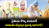 రైతును కొన్ని పంటలకే పరిమితం చేస్తున్నది ప్రభుత్వ విధానాలే !