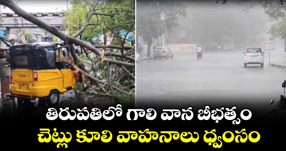 తిరుపతిలో గాలి వాన బీభత్సం : చెట్లు కూలి వాహనాలు ధ్వంసం