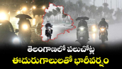 తెలంగాణలో పలుచోట్ల ఈదురుగాలులతో భారీవర్షం 