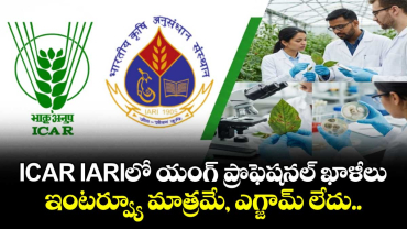 ICAR IARIలో  యంగ్ ప్రొఫెషనల్ ఖాళీలు.. ఇంటర్వ్యూ మాత్రమే, ఎగ్జామ్ లేదు..