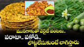 Kitchen Telangana :  మునగాకుతో వెరైటీ వంటలు.. పరాటా.. పకోడి..లొట్టలేసుకుంటే లాగిస్తారు