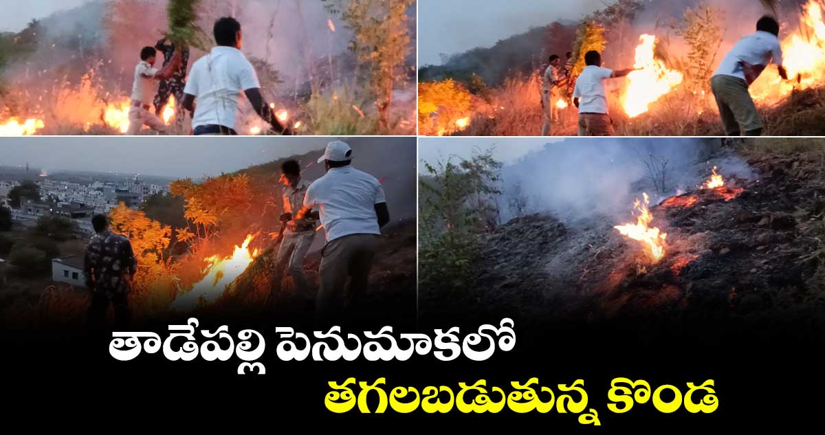 తాడేపల్లి పెనుమాకలో.. తగలబడుతున్న కొండ