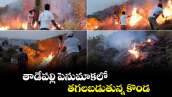తాడేపల్లి పెనుమాకలో.. తగలబడుతున్న కొండ 