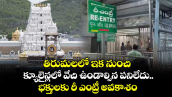 తిరుమలలో ఇక నుంచి క్యూలైన్లలో వేచి ఉండాల్సిన పనిలేదు.. భక్తులకు రీ ఎంట్రీ అవకాశం