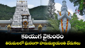 కలియుగ వైకుంఠం.. తిరుమలలో ఘనంగా హనుమజ్జయంతి వేడుకలు