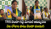 TRS జెండా గద్దె మోడల్ ఆవిష్కరణ.. నెల రోజుల పాటు జెండా పండుగ