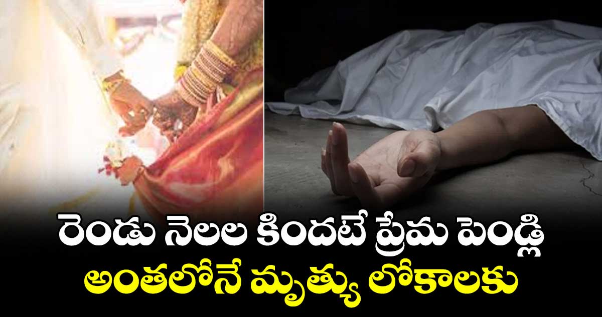 రెండు నెలల కిందటే ప్రేమ పెండ్లి... అంతలోనే మృత్యు లోకాలకు...