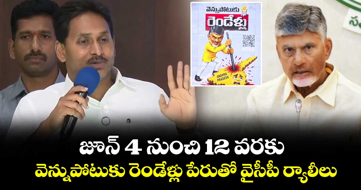 జూన్ 4 నుంచి 12 వరకు వెన్నుపోటుకు రెండేళ్లు పేరుతో వైసీపీ ర్యాలీలు: వైఎస్ జగన్