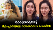 Manjari Fadnis: ఇంత క్రూరత్వమా? కమ్యూనిటీ డాగ్⁭ని చంపేశారంటూ నటి ఆవేదన.. వీడియో వైరల్ 