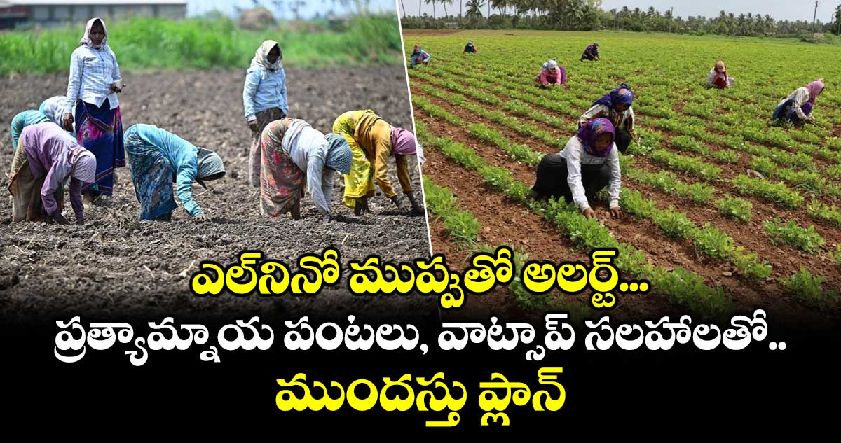 ఎల్‌నినో ముప్పుతో అలర్ట్.. ప్రత్యామ్నాయ పంటలు, వాట్సాప్  సలహాలతో ముందస్తు ప్లాన్