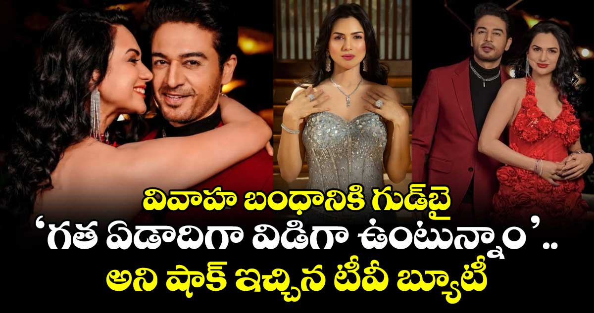 వివాహ బంధానికి గుడ్‌బై: ‘గత ఏడాదిగా విడిగా ఉంటున్నాం’.. అని షాక్ ఇచ్చిన టీవీ బ్యూటీ