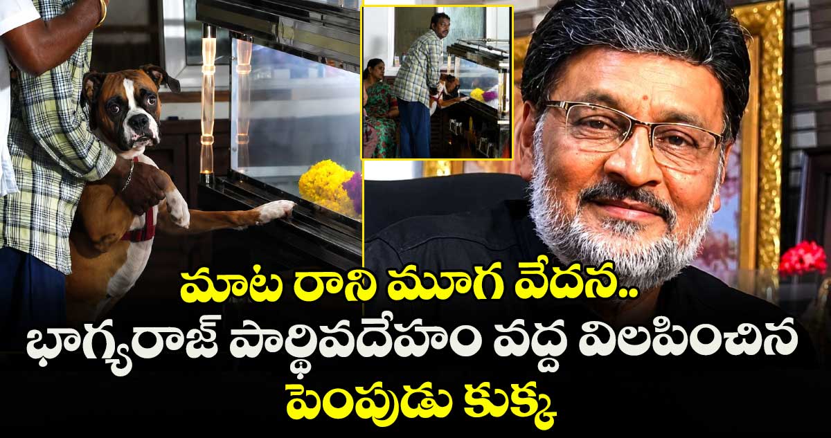 Bhagyaraj Pet Dog: మాట రాని మూగ వేదన.. భాగ్యరాజ్ పార్థివదేహం వద్ద విలపించిన పెంపుడు కుక్క