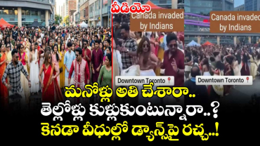 వీడియో: మనోళ్లు అతి చేశారా.. తెల్లోళ్లు కుళ్లుకుంటున్నారా..? కెనడా వీధుల్లో డ్యాన్స్⁭పై రచ్చ..!