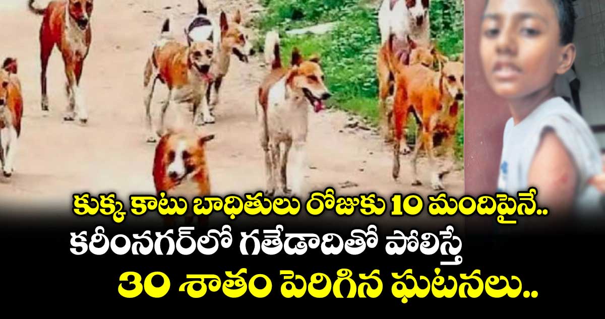 కుక్క కాటు బాధితులు రోజుకు 10 మందిపైనే.. కరీంనగర్⁭లో గతేడాదితో పోలిస్తే 30 శాతం పెరిగిన ఘటనలు..