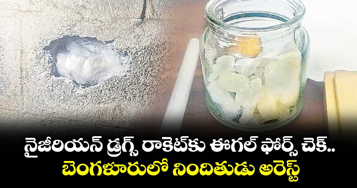 నైజీరియన్ డ్రగ్స్ రాకెట్‌‌కు ఈగల్ ఫోర్స్ చెక్... బెంగళూరులో నిందితుడు అరెస్ట్