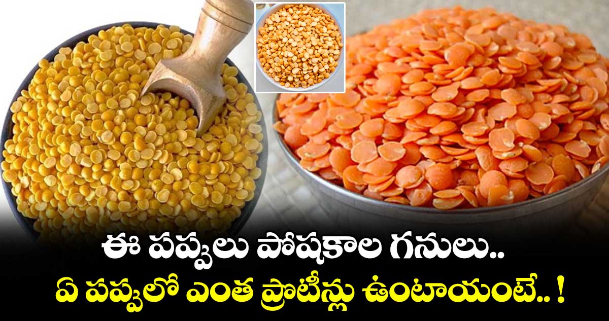ఎనర్జీ ఫుడ్ : ఈ పప్పులు పోషకాల గనులు.. ఏ పప్పులో ఎంత ప్రొటీన్లు ఉంటాయంటే.. !