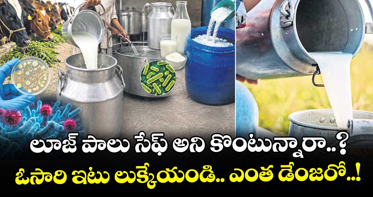 లూజ్ పాలు సేఫ్ అని కొంటున్నారా..? ఓసారి ఇటు లుక్కేయండి.. ఎంత డేంజరో..!