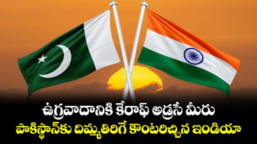 ఉగ్రవాదానికి కేరాఫ్ అడ్రసే మీరు.. పాకిస్థాన్‌కు దిమ్మతిరిగే కౌంటరిచ్చిన ఇండియా
