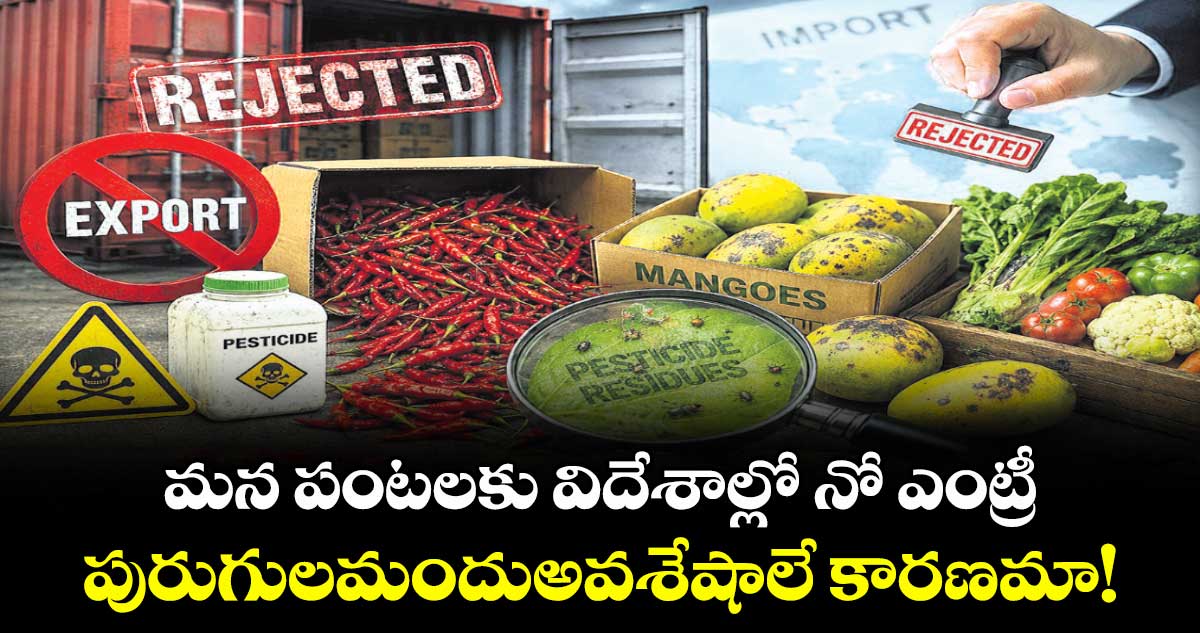 మన కూరగాయలకు విదేశాల్లో నో ఎంట్రీ.. పురుగులమందుఅవశేషాలే కారణమా!
