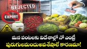 మన కూరగాయలకు విదేశాల్లో నో ఎంట్రీ.. పురుగులమందుఅవశేషాలే కారణమా!