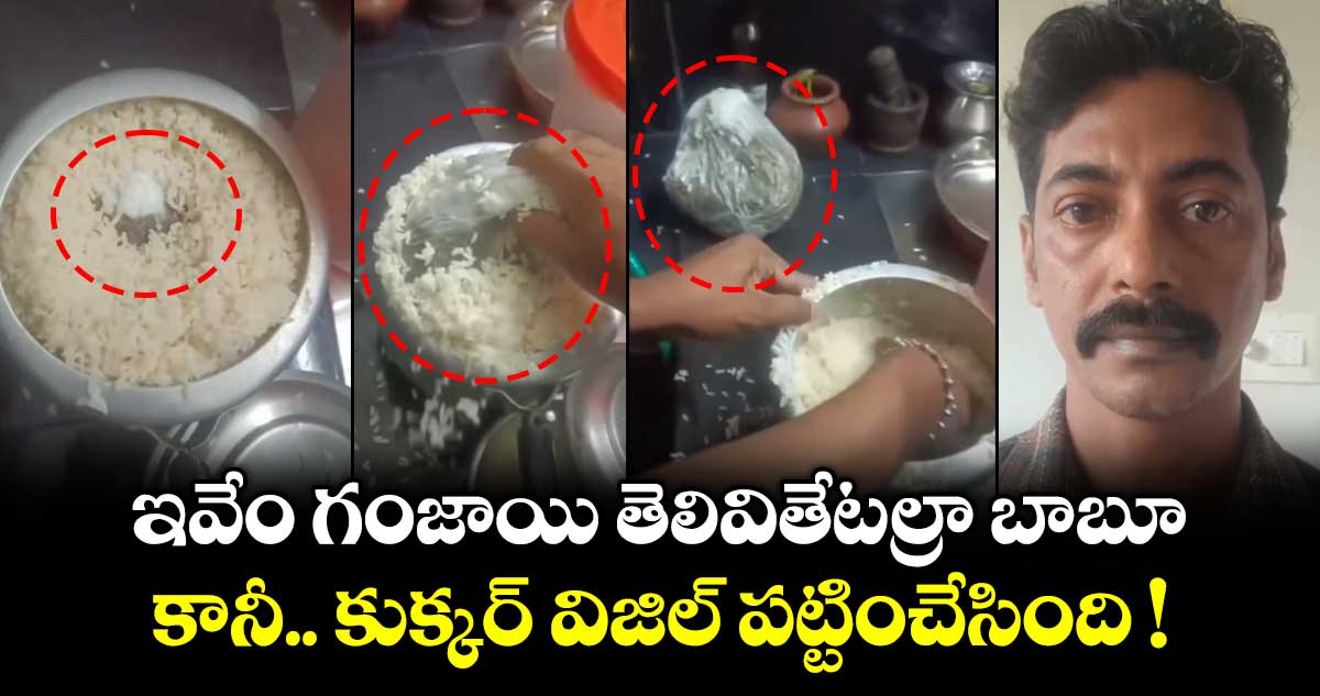 ఇవేం గంజాయి తెలివితేటల్రా బాబూ.. కానీ.. కుక్కర్ విజిల్ పట్టించేసింది !