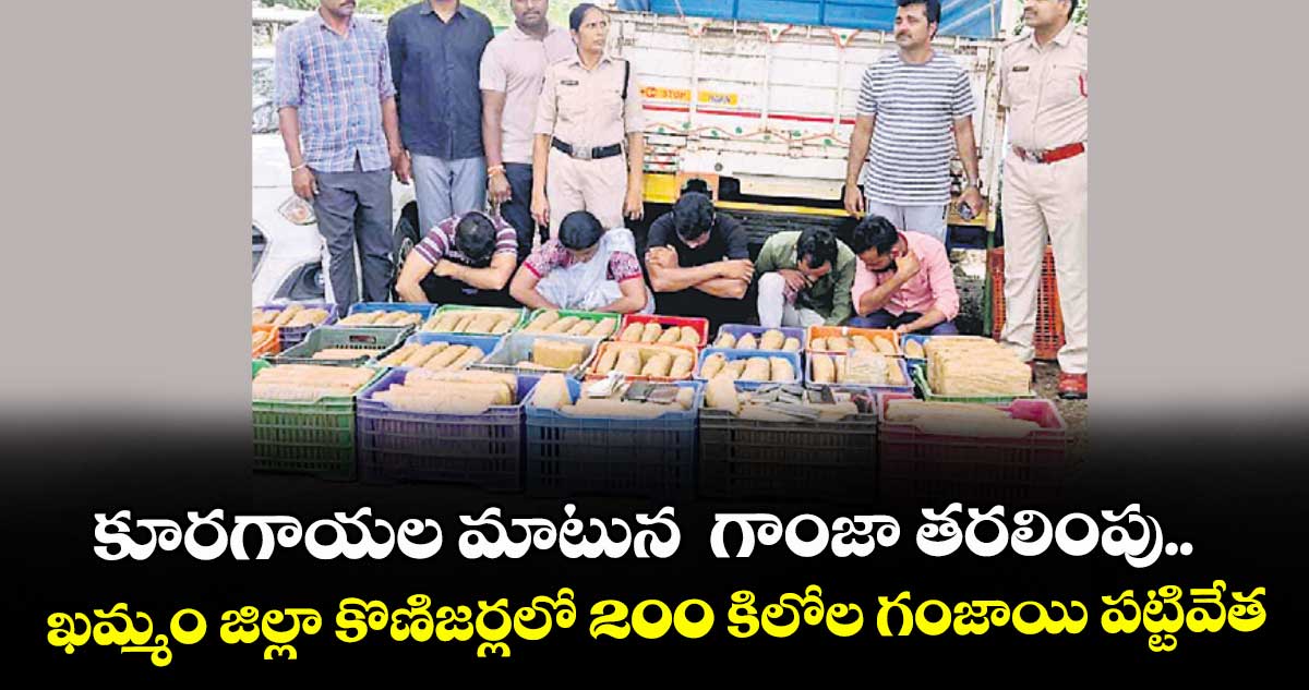 కూరగాయల మాటున  గాంజా తరలింపు..ఖమ్మం జిల్లా కొణిజర్లలో 200 కిలోల గంజాయి పట్టివేత