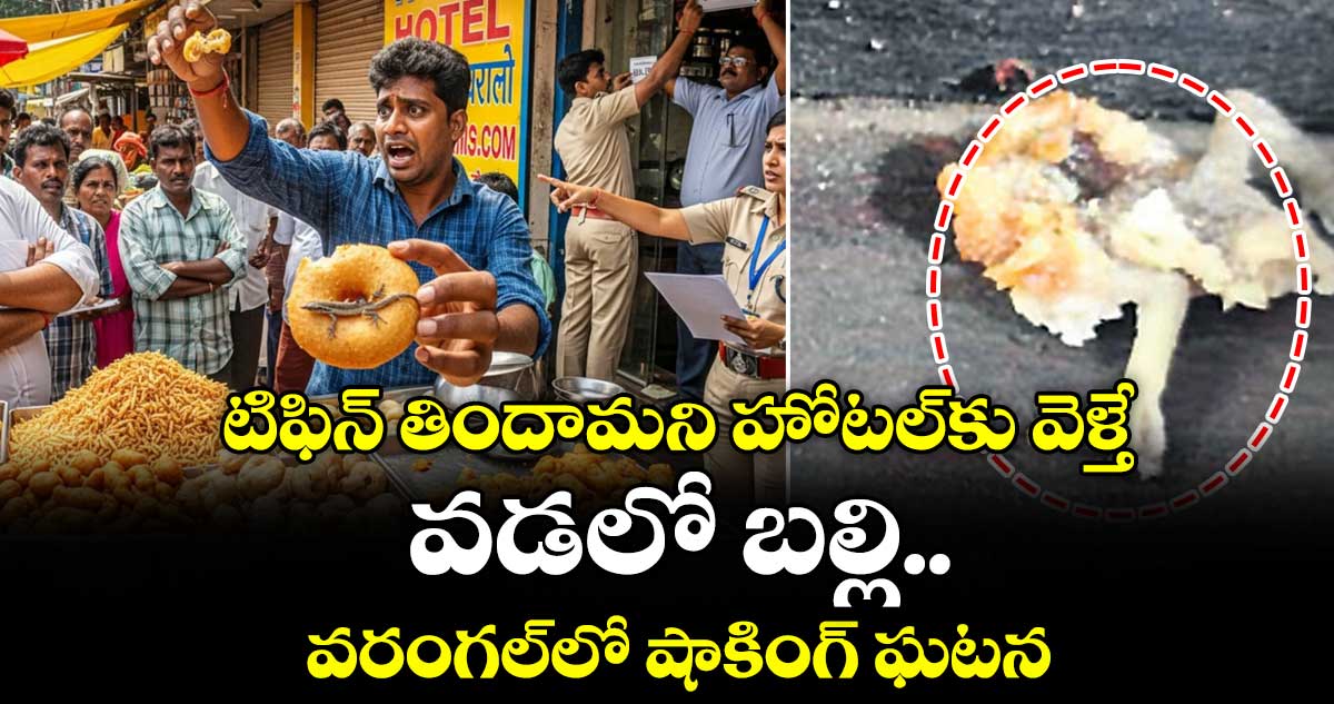 టిఫిన్ తిందామని హోటల్⁭కు వెళ్తే వడలో బల్లి.. వరంగల్⁫లో షాకింగ్ ఘటన