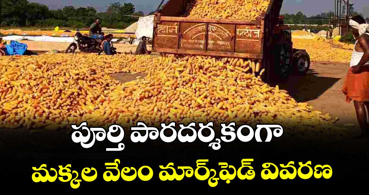 పూర్తి పారదర్శకంగా మక్కల వేలం మార్క్‌‌ఫెడ్ వివరణ