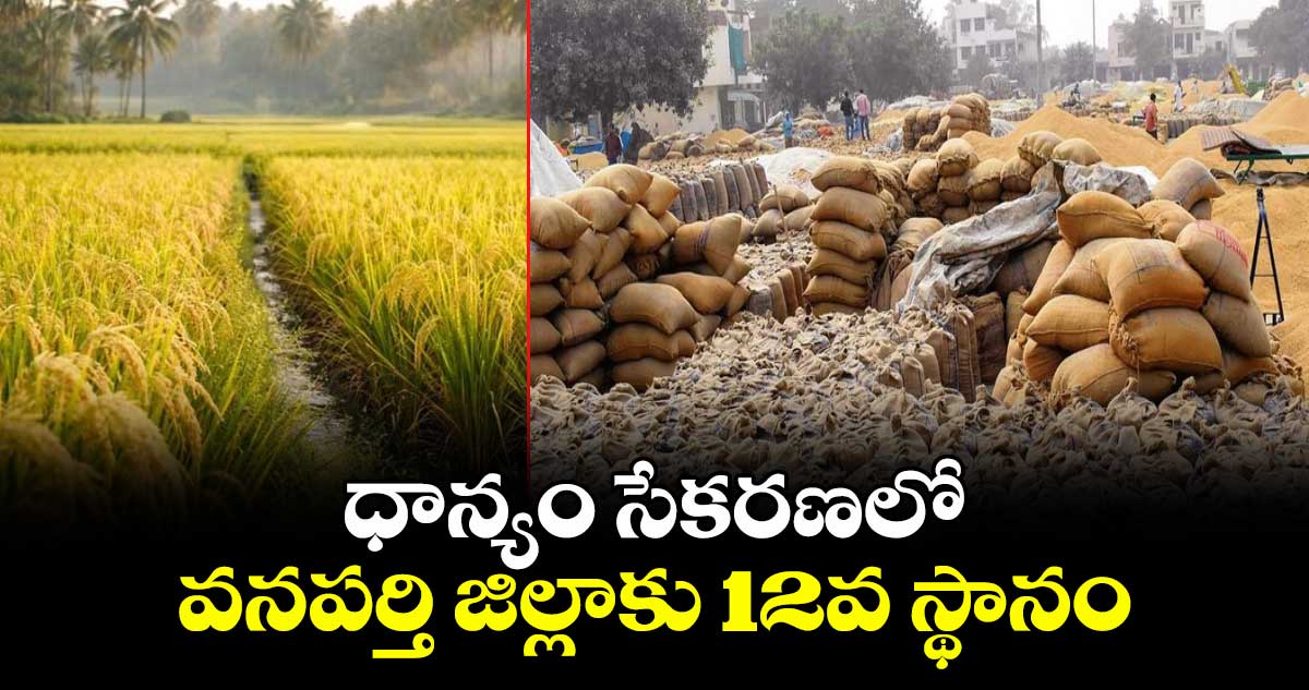 ధాన్యం సేకరణలో.. వనపర్తి జిల్లాకు 12వ స్థానం