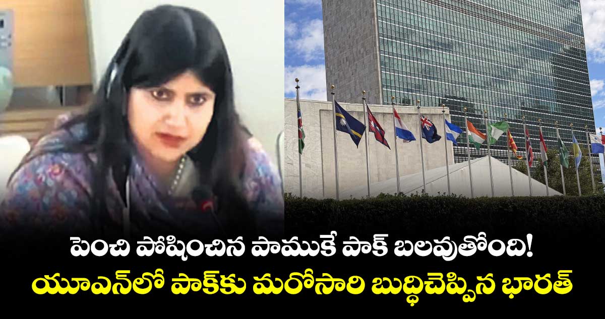 పెంచి పోషించిన పాముకే పాక్ బలవుతోంది!..యూఎన్లో పాక్కు మరోసారి బుద్ధిచెప్పిన భారత్