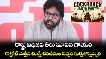 రాష్ట్ర విభ‌‌జ‌‌న తీరు మాన‌‌ని గాయం..కాక్రోచ్‌‌ పార్టీని చూస్తే  చలిచీమల పద్యం గుర్తుకొస్తున్నది: పవన్ కళ్యాణ్ 