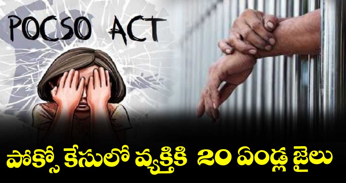 పద్మారావునగర్: పోక్సో కేసులో వ్యక్తికి  20 ఏండ్ల జైలు