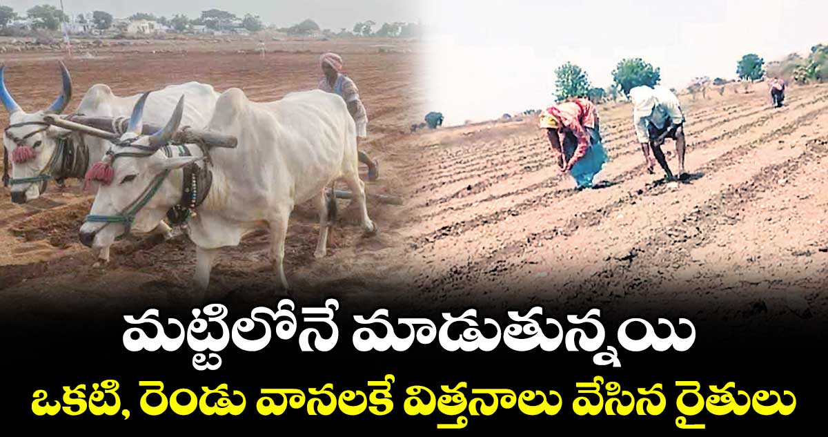 మట్టిలోనే మాడుతున్నయి.. ఒకటి, రెండు వానలకే విత్తనాలు వేసిన రైతులు